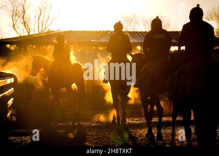 Nach einem morgendlichen Galopp in den Ställen in Wilmcote, Warwickshire, steigt Dampf von Pferden auf. Bilddatum: Donnerstag, 2. Dezember 2021. Stockfoto