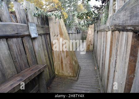 Sherwood Pines, Großbritannien - 19 Nov, 2021: Erholung Schützengräben an vorderster Front im Weltkrieg 1 als Teil eines Denkmals im Sherwood-Kiefernwald, Nottinghamshire, Großbritannien Stockfoto