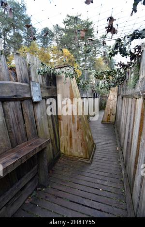 Sherwood Pines, Großbritannien - 19 Nov, 2021: Erholung Schützengräben an vorderster Front im Weltkrieg 1 als Teil eines Denkmals im Sherwood-Kiefernwald, Nottinghamshire, Großbritannien Stockfoto