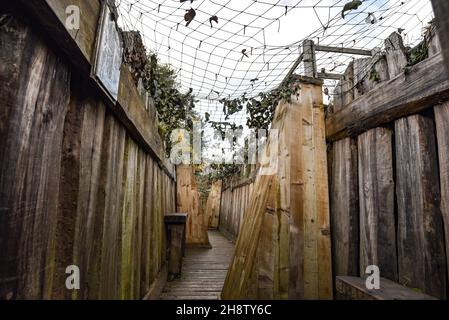 Sherwood Pines, Großbritannien - 19 Nov, 2021: Erholung Schützengräben an vorderster Front im Weltkrieg 1 als Teil eines Denkmals im Sherwood-Kiefernwald, Nottinghamshire, Großbritannien Stockfoto