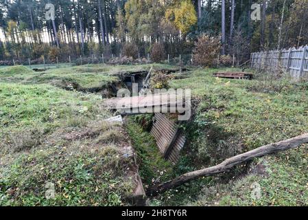 Sherwood Pines, Großbritannien - 19 Nov, 2021: Erholung Schützengräben an vorderster Front im Weltkrieg 1 als Teil eines Denkmals im Sherwood-Kiefernwald, Nottinghamshire, Großbritannien Stockfoto