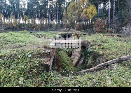 Sherwood Pines, Großbritannien - 19 Nov, 2021: Erholung Schützengräben an vorderster Front im Weltkrieg 1 als Teil eines Denkmals im Sherwood-Kiefernwald, Nottinghamshire, Großbritannien Stockfoto