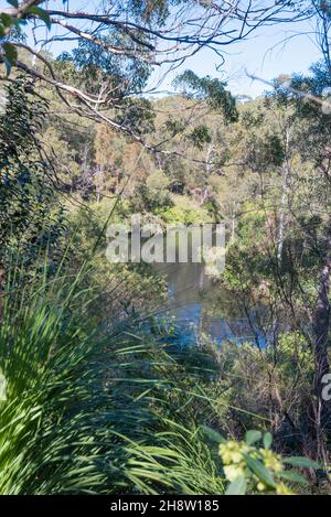 Nur 18km vom Zentrum Sydneys entfernt, passieren die schlammigen Gewässer des Upper Lane Cove River langsam West Lindfield in Sydney, New South Wales, Australien Stockfoto