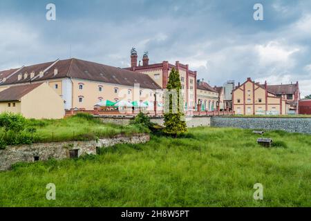 TREBON, TSCHECHISCHE REPUBLIK - 14. JUNI 2016: Bau der Regent Brauerei in Trebon. Stockfoto