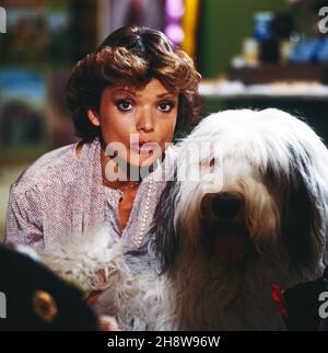 Uschi Glas, deutsche Schauspielerin, mit Bobtail Bobby in der Fernsehserie 'Schwabinger Basar', Deutschland 1980. Die deutsche Schauspielerin Uschi Glas und Bobby der Bobtail bei der deutschen Fernsehserie 'Schwabinger Basar', Deutschland 1980. Stockfoto