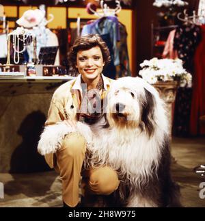 Uschi Glas, deutsche Schauspielerin, mit Bobtail Bobby in der Fernsehserie 'Schwabinger Basar', Deutschland 1980. Die deutsche Schauspielerin Uschi Glas und Bobby der Bobtail bei der deutschen Fernsehserie 'Schwabinger Basar', Deutschland 1980. Stockfoto