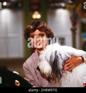 Uschi Glas, deutsche Schauspielerin, mit Bobtail Bobby in der Fernsehserie 'Schwabinger Basar', Deutschland 1980. Die deutsche Schauspielerin Uschi Glas und Bobby der Bobtail bei der deutschen Fernsehserie 'Schwabinger Basar', Deutschland 1980. Stockfoto