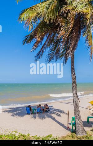 JOAO PESSOA, BRASILIEN - 15. OKTOBER 2016: Palmen an einem Strand in Joao Pessoa, Brasilien Stockfoto