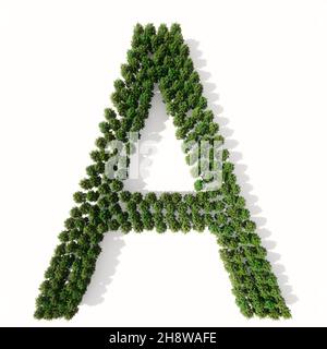 Konzept oder konzeptionelle Gruppe von grünen Waldbäumen isoliert auf weißem Hintergrund, die Schriftart A. 3d Illustration Metapher für Natur, Erhaltung Stockfoto