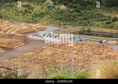 Radiata Pine Ernte- und Holzfällhafen für die Forstwirtschaft in Picton, Neuseeland Stockfoto