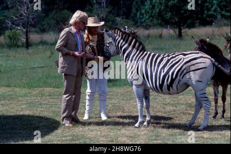 Heino, deutscher Musiker und Schlagersänger, und Ehefrau Hannelore stoßen auf Zebras bei Kapstadt, Südafrika 1982. Der deutsche Volkssänger und Musiker Heino und seine Frau Hannelore treffen sich mit Zebras in der Nähe von Kapstadt, Südafrika 1982. Stockfoto