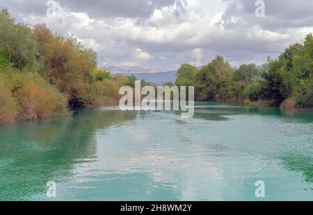 Schwimmende Vogel fliegt auf erstaunliche türkisfarbenen Bach in einer wunderschönen Landschaft mit Bäumen und Bergen. Malerische Gebirgsflusslandschaft. Schöner natürlicher Hintergrund für Ihr Design. Stockfoto