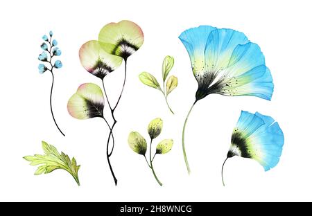 Set mit Aquarell und Blumenmuster. Sammlung von blauen transparenten Blumen und Blättern. Handbemaltes isoliertes Design. Botanische Illustration für die Frühjahrshochzeit Stockfoto
