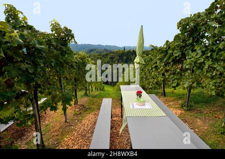 Österreich, Steiermark, Sitzplätze in den Weinbergen mit Blick auf die slowenische Grenze in der hügeligen Landschaft auch bekannt als Toskana von Österreich Stockfoto