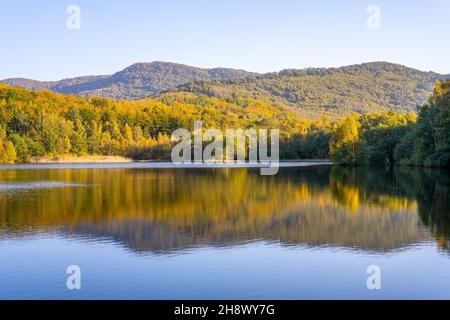 Herbst Buchenwald Reflecter im Wasser Stockfoto