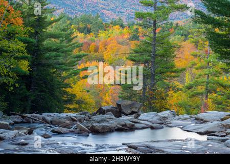 Jackson Falls im Herbst, Jackson, New Hampshire, USA Stockfoto