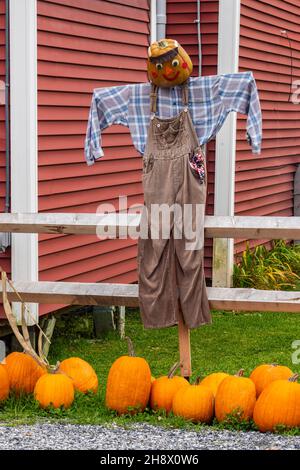 Ernteausstellungen, Cambridge, Vermont, USA Stockfoto