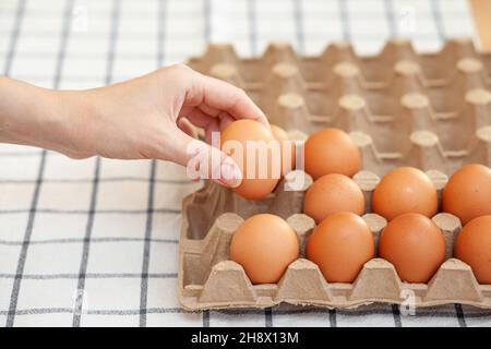 Hühnerbraune Eier befinden sich in einem Pappkarton, der in einem Lebensmittelgeschäft gekauft wurde. Gesundes Frühstück. Ein Tablett zum Tragen und Lagern von zerbrechlichen Eiern. Eine Frau nimmt eine Stockfoto