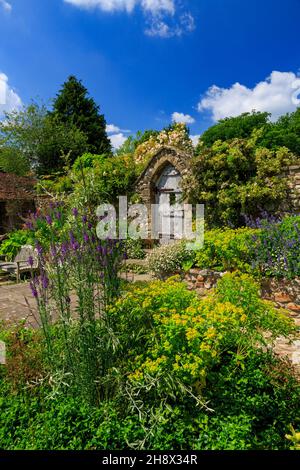 Der Millennium Garden in Burrow Farm Garden – von Mary Benger seit 1966 in Devon, England, Großbritannien, erstellt Stockfoto