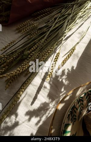 Von oben von langen dünnen Ästen von Getreidegras auf Tischdecke in der Nähe von Keramikplatten bei Sonnenlicht Stockfoto