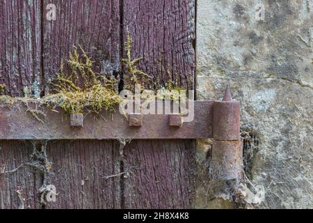 Eisernes Scharnier an einer alten Holztür, die in einem verlassenen französischen Schloss im Loiretal gefunden wurde Stockfoto