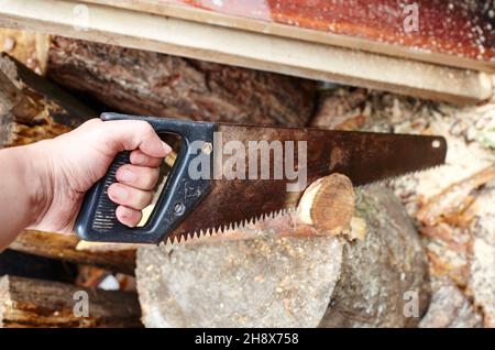 Der Mann schneidet das Holz durch Säge. Vorbereitung des Brennholzes für den Winter Stockfoto