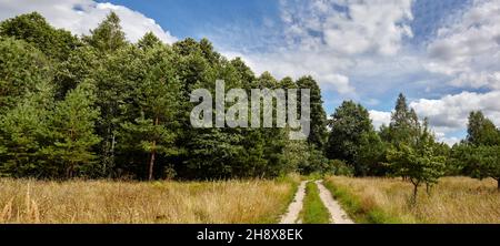 Panoramafoto von dichtem Wald gegen den Himmel und Wiesen. Schöne Landschaft von einer Reihe von Bäumen und blauen Himmel Hintergrund Stockfoto