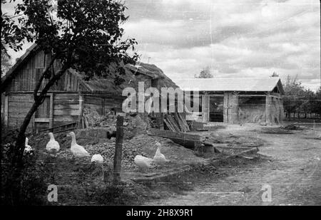 Okolice Warki, 1946-01-01. Zniszczenia w gospodarstwie we wsi w okolicach Warki nad Pilic¹. po/ms PAP/Jerzy Baranowski Warka, 1. Januar 1946. Zerstörter Bauernhof in einem Dorf in der Nähe von Warka am Fluss Pilica. po/ms PAP/Jerzy Baranowski Stockfoto