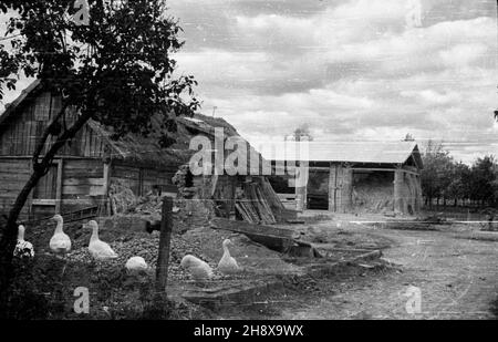 Okolice Warki, 1946-01-01. Zniszczenia w gospodarstwie we wsi w okolicach Warki nad Pilic¹. po/ms PAP/Jerzy Baranowski Warka, 1. Januar 1946. Zerstörter Bauernhof in einem Dorf in der Nähe von Warka am Fluss Pilica. po/ms PAP/Jerzy Baranowski Stockfoto