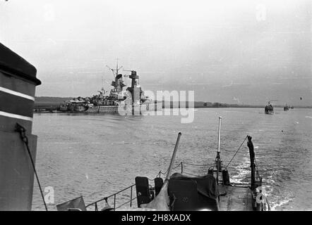 Stettin, 1946-01-01. Port Szczeciñski. NZ. tra³owce redowe, in. Minowce, po wojnie U¿ywane do rozminowywania polskich portów. frau PAP Szczecin, 1. Januar 1946. Der Seehafen. Im Bild: Minenräumer, die nach dem Zweiten Weltkrieg die Minen in den polnischen Häfen räumten. Ms PAP Stockfoto