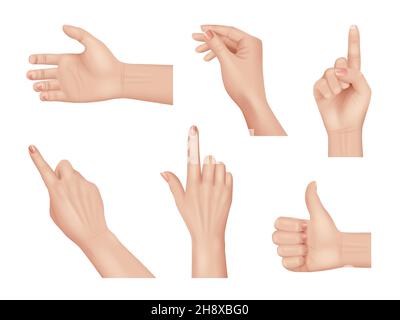 Handgesten. Realistische menschliche Hände Anatomie Körperteile Handfläche und Finger anständige Vektor-Hände Sammlung isoliert Stock Vektor