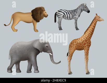 Wilde afrikanische Tiere. Löwe Elefant Zebra Giraffe Safari Reisen Outdoor Sammlung anständige Vektor realistische Tiere Stock Vektor