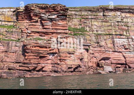 Die Sandsteinfelsen von St. Bees Head, Cumbria, Großbritannien Stockfoto