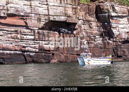 Ein Fischerboot entlang der Sandsteinfelsen von St. Bees Head, Cumbria, Großbritannien Stockfoto