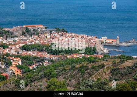 Die atemberaubende Luftaufnahme über Collioure von Fort Saint Elme umgeben von Weinbergen, Vermeille Küste, Frankreich Stockfoto