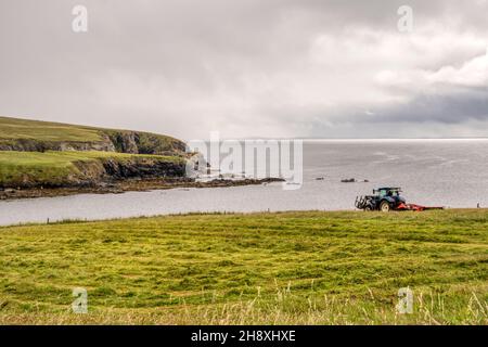 Landwirtschaft auf Fetlar, Shetland-Inseln. Ein Traktor, der auf einem Feld an der Küste arbeitet. Stockfoto