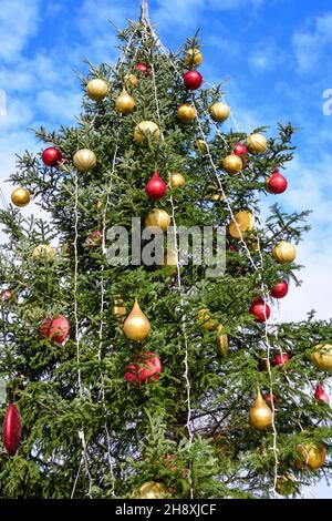 Großer geschmückter grüner Baum auf dem Weihnachtsmarkt im Drumul Taberei Park (Parcul Drumul Taberei), der an einem sonnigen Herbsttag als Moghioros bekannt ist Stockfoto