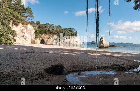 Cathedral Cove auf der Halbinsel Coromandel. Neuseeland, Nordinsel. Stockfoto