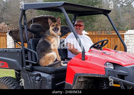 Mann mit Schäferhund in Polaris Ranger 500 EFI Utility Task Vehicle / UTV, USA / USA Stockfoto