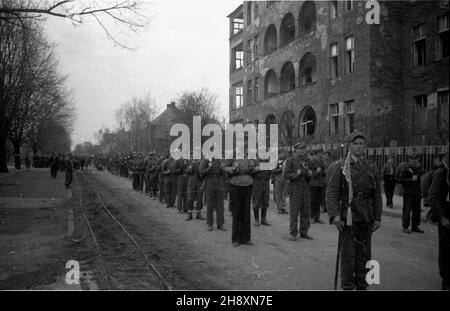 Stettin, 1946-04-14. Œwiêto Pomorza Zachodniego w rocznicê zdobycia miasta przez Armiê Czerwon¹ - pod has³em: Trzymamy stra¿ nad Odr¹. NZ. Sztafety harcerskie z Gdañska i Jeleniej Góry. po/gr PAP/W³adys³aw Forbert Stettin, 14. April 1946. Vorpommerentag zum Jahrestag der Eroberung der Stadt durch die Rote Armee - unter dem Motto: Wir stehen auf der oder auf der Hut. Im Bild: scout-Relais aus Danzig und Jelenia Gora. po/gr PAP/Wladyslaw Forbert Stockfoto