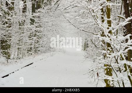 Schneebedeckte Eisenbahnstrecken führen an einem frostigen Wintertag durch einen schneebedeckten Wald. Tag. Stockfoto