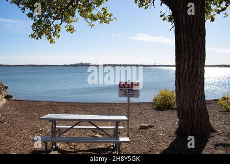 Ein Baum und eine Bank neben dem See, an einem sonnigen Tag. Stockfoto