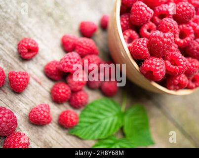 Frische reife rote Himbeeren mit Blättern in einer Schüssel auf rustikalem alten Holztisch. Gesunde Bio-Lebensmittel, Sommer-Vitamine, Bio-Viands, natürlicher Hintergrund. Co Stockfoto