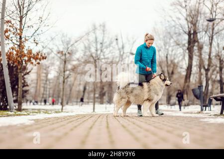 Sportlerin in einem Park mit ihrem Hund an verschneiten Wintertagen. Winterfitness, kaltes Wetter, Schnee, Hunde, Haustiere, Hund Person Stockfoto