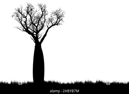 Boab Baum Silhouette mit weißem Hintergrund ungewöhnlichen Baum in Western Australia gefunden Stock Vektor