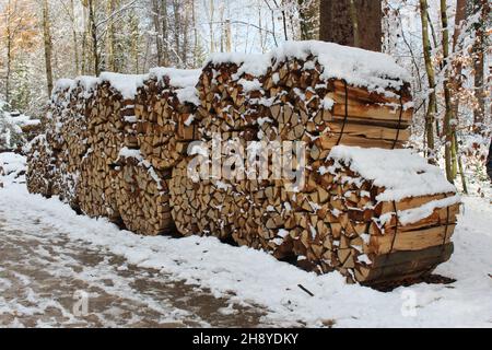 Bündel aus gehacktem Brennholz, die im schneebedeckten Wald gestapelt sind. (Uetliberg, Zürich, Schweiz). Konzept für Biomasse oder Biokraftstoff im Winter Stockfoto