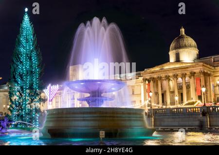 Trafalgar Square, London, Großbritannien, 02. Dezember 2021. Der Trafalgar-Platz ist mit einem 24 Meter hohen, beleuchteten Weihnachtsbaum, einem Norwegen-Angüssen, geschmückt und gefeiert, vor der Nationalgalerie, neben den Wasserbrunnen und dem Weihnachtsmarkt. Die Weihnachtsbaumlichter werden heute Abend in einer traditionellen Zeremonie eingeschaltet. Jedes Jahr ist ein Weihnachtsbaum ein Geschenk des norwegischen Volkes an das britische Volk als Zeichen der Dankbarkeit für die Unterstützung des nordischen Landes während des Zweiten Weltkriegs seit 1947. Quelle: Xiu Bao/Alamy Live News Stockfoto