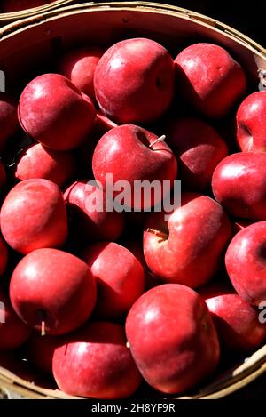 Apfelkörbe zum Verkauf auf dem Markt für Naturprodukte am Straßenrand in Velarde, einer Gemeinde am Rio Grande in New Mexico. Stockfoto