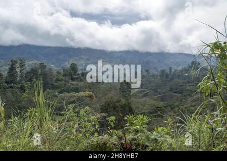 Papua-Neuguinea; Östliches Hochland; Goroka; Namta (Mefenga); typische Berglandschaft in Papua; typische Berglandschaft in Papua; krajobraz Górski Stockfoto