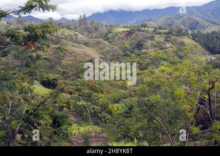 Papua-Neuguinea; Östliches Hochland; Goroka; Namta (Mefenga); typische Berglandschaft in Papua; typische Berglandschaft in Papua; krajobraz Górski Stockfoto